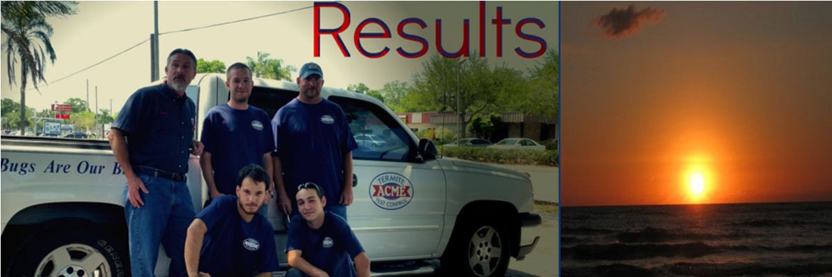 Pest Control Results