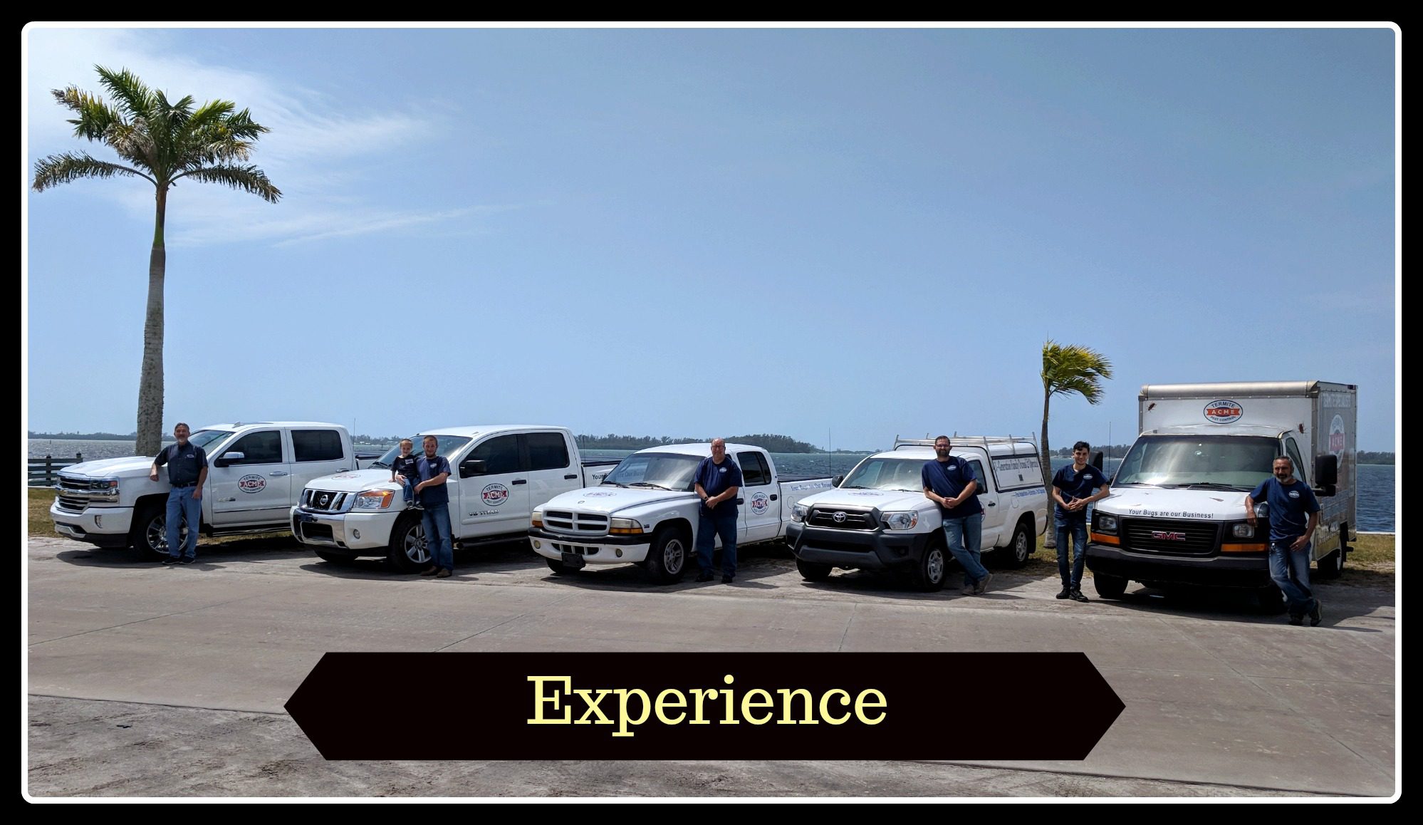 Acme Termite and Pest Control